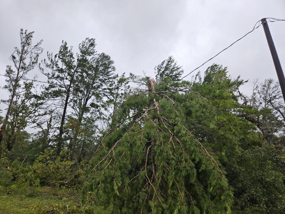 Click image for larger version

Name:	20230830_085909.jpg
Views:	114
Size:	252.4 KB
ID:	29545