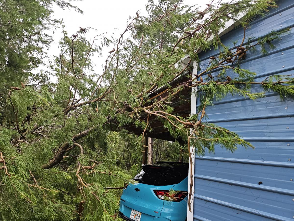 Click image for larger version

Name:	20230830_085942.jpg
Views:	111
Size:	305.1 KB
ID:	29546