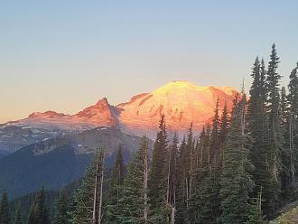 Click image for larger version

Name:	signal-2023-08-19-06-19-45-598.jpg
Views:	154
Size:	126.6 KB
ID:	29569