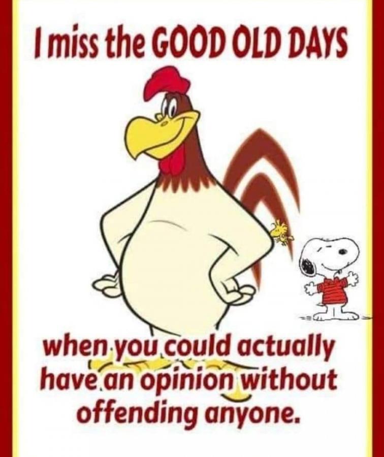 Click image for larger version

Name:	Screenshot_20230903_190742_Instagram.jpg
Views:	91
Size:	64.8 KB
ID:	29586