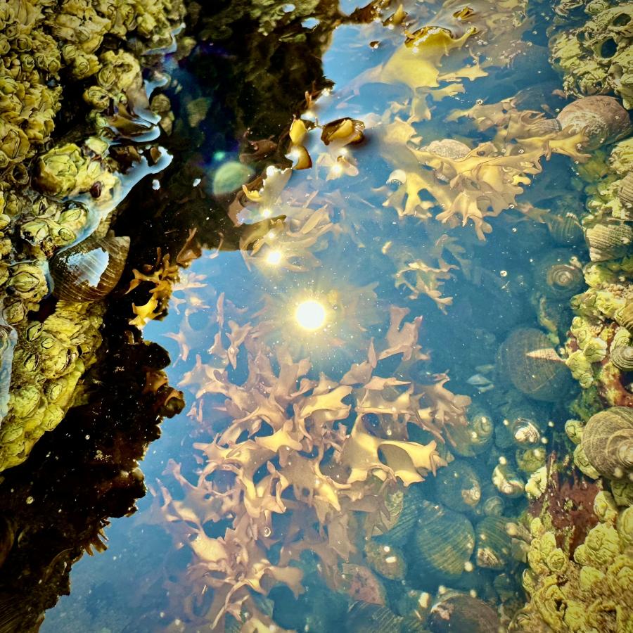 Click image for larger version  Name:	IMG_1813.jpeg Views:	0 Size:	169.8 KB ID:	29630