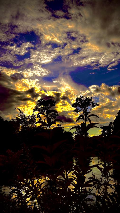 Click image for larger version  Name:	IMG_1850.jpeg Views:	0 Size:	85.8 KB ID:	29631