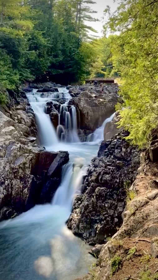 Click image for larger version

Name:	IMG_2130.jpeg
Views:	102
Size:	107.2 KB
ID:	29633