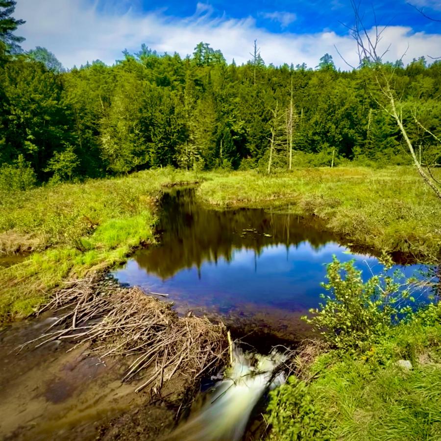 Click image for larger version

Name:	IMG_2152.jpeg
Views:	102
Size:	176.2 KB
ID:	29639