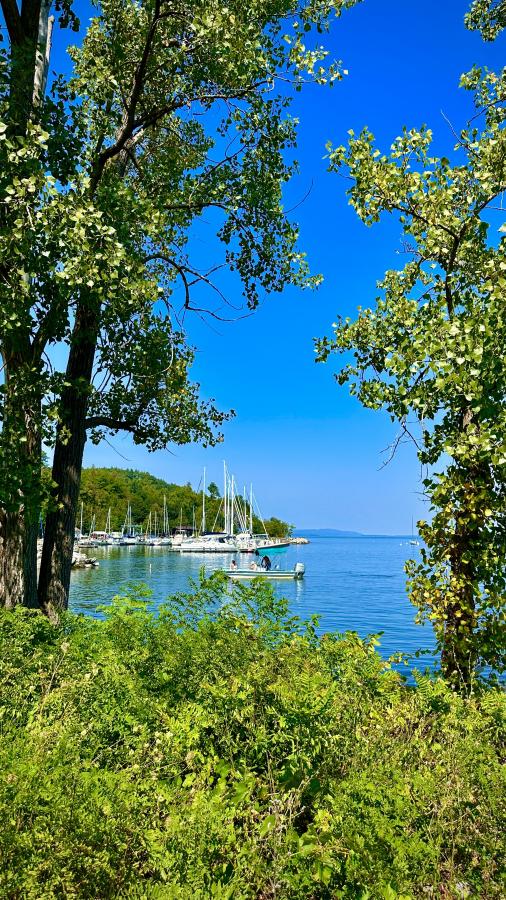 Click image for larger version

Name:	IMG_2224.jpeg
Views:	100
Size:	175.0 KB
ID:	29637