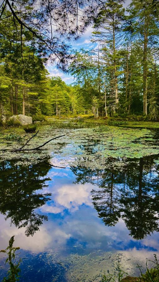 Click image for larger version

Name:	IMG_2545.jpeg
Views:	102
Size:	155.7 KB
ID:	29640