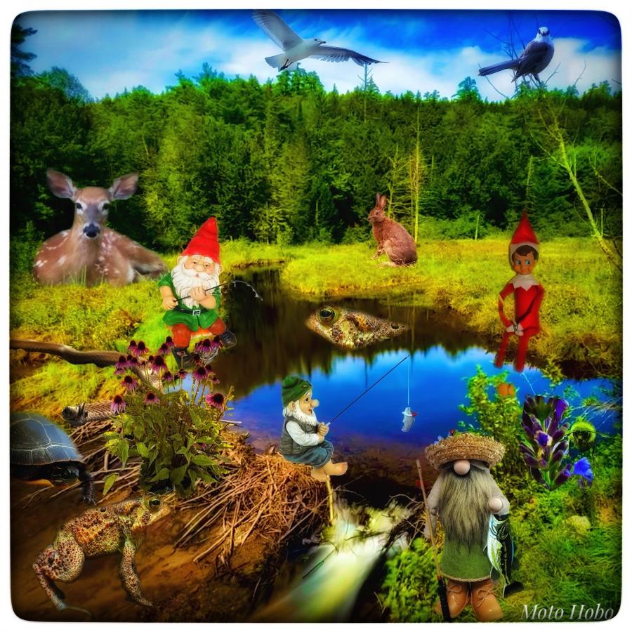 Click image for larger version

Name:	Snapseed.jpeg
Views:	99
Size:	165.0 KB
ID:	29643