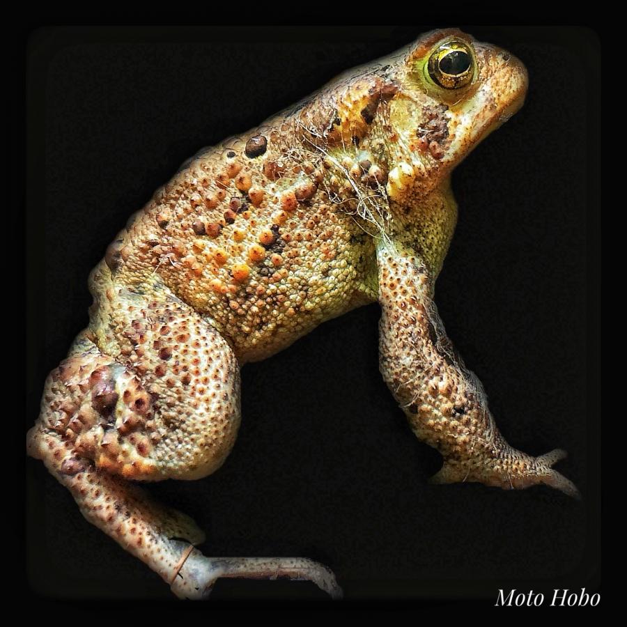 Click image for larger version

Name:	Snapseed.jpeg
Views:	94
Size:	115.9 KB
ID:	29681