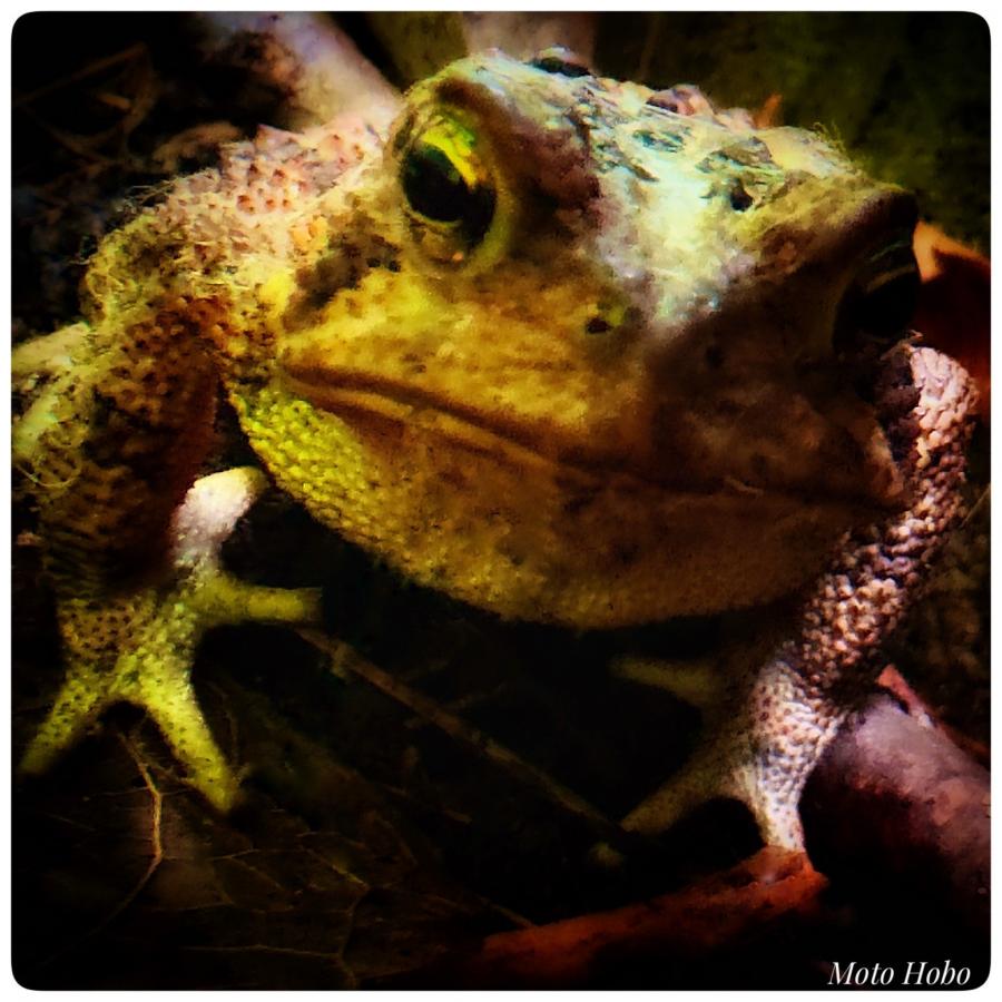 Click image for larger version

Name:	FullSizeRender.jpeg
Views:	93
Size:	98.7 KB
ID:	29683