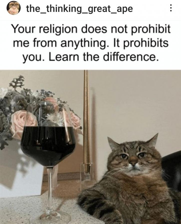 Click image for larger version  Name:	Screenshot_20230926_165652_Instagram.jpg Views:	0 Size:	68.9 KB ID:	29745