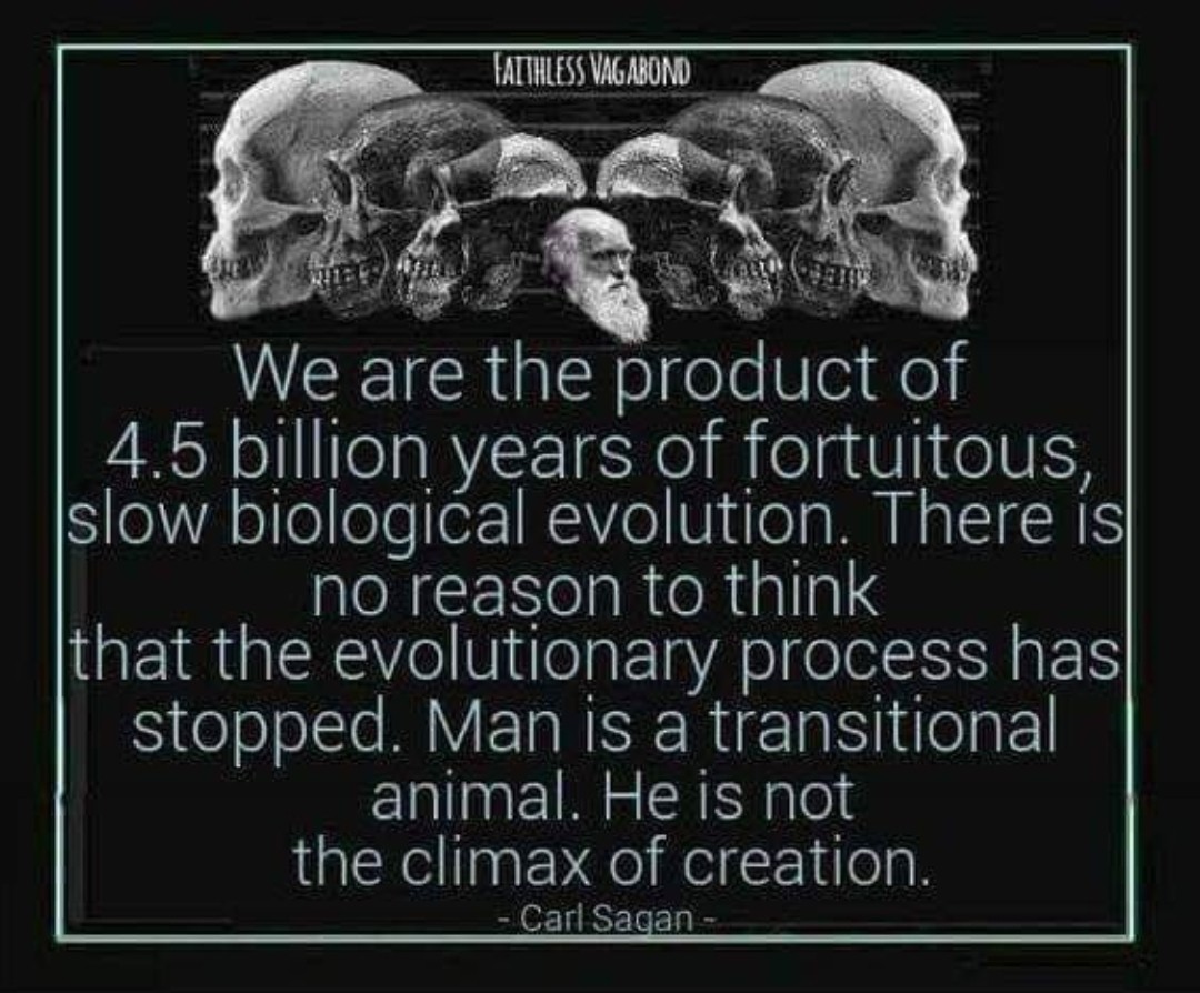 Click image for larger version

Name:	Screenshot_20230929_141404_Instagram.jpg
Views:	86
Size:	188.5 KB
ID:	29777