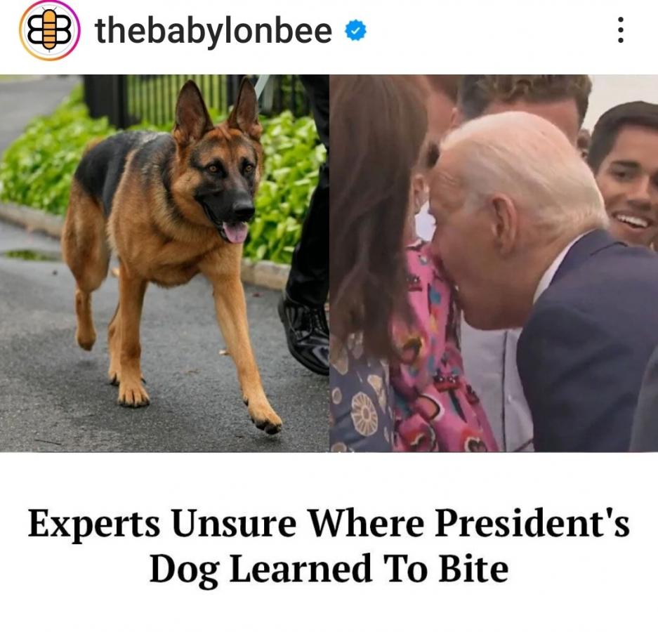 Click image for larger version

Name:	Screenshot_20230929_150152_Instagram.jpg
Views:	86
Size:	86.1 KB
ID:	29778