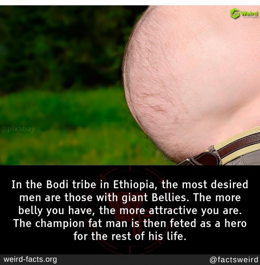 Click image for larger version

Name:	Screenshot_20231010_155749_Instagram.jpg
Views:	145
Size:	85.0 KB
ID:	29857