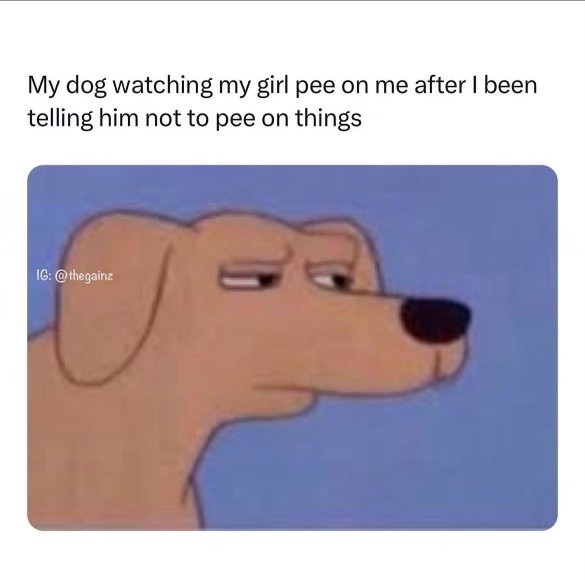 Click image for larger version

Name:	IMG_1681.jpeg
Views:	102
Size:	37.7 KB
ID:	29966