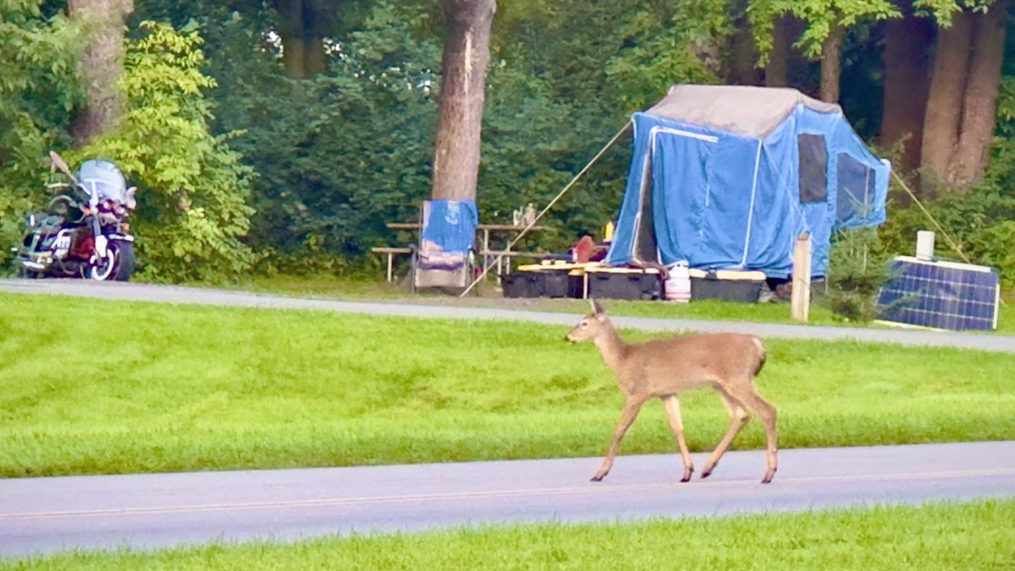 Click image for larger version

Name:	IMG_3341.jpeg
Views:	78
Size:	156.4 KB
ID:	30046