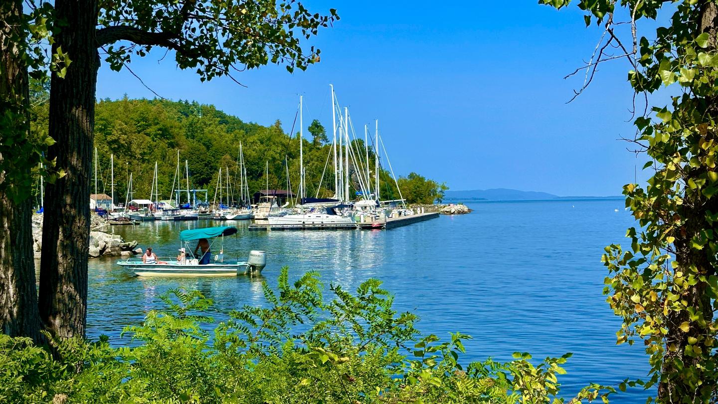 Click image for larger version

Name:	IMG_2225.jpeg
Views:	77
Size:	309.2 KB
ID:	30048