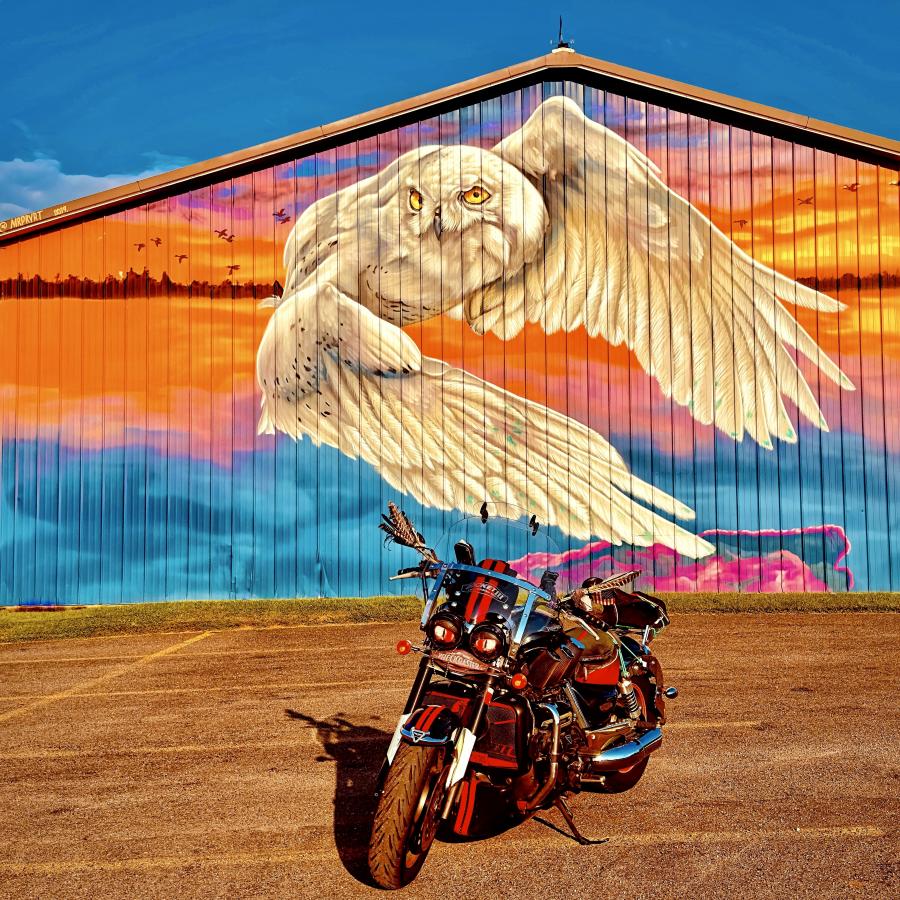 Click image for larger version

Name:	FullSizeRender.jpeg
Views:	76
Size:	199.1 KB
ID:	30049