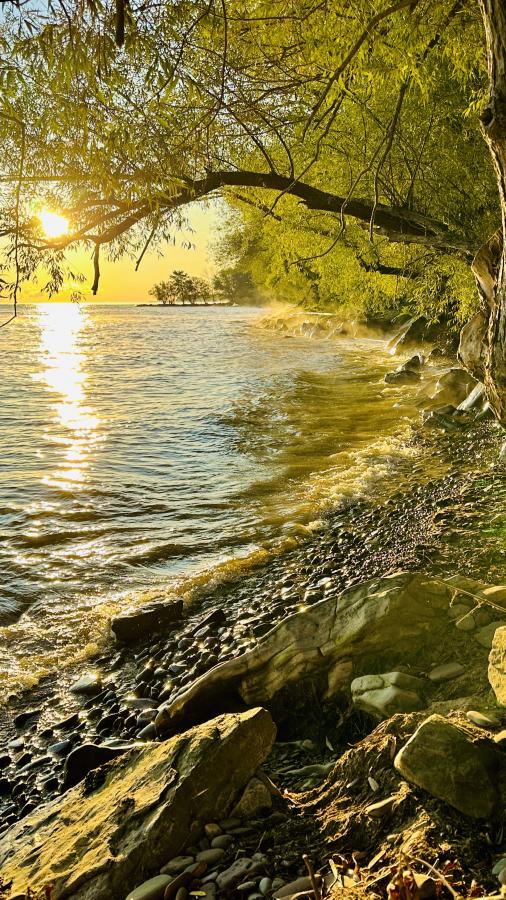 Click image for larger version

Name:	IMG_3545.jpeg
Views:	79
Size:	157.2 KB
ID:	30050