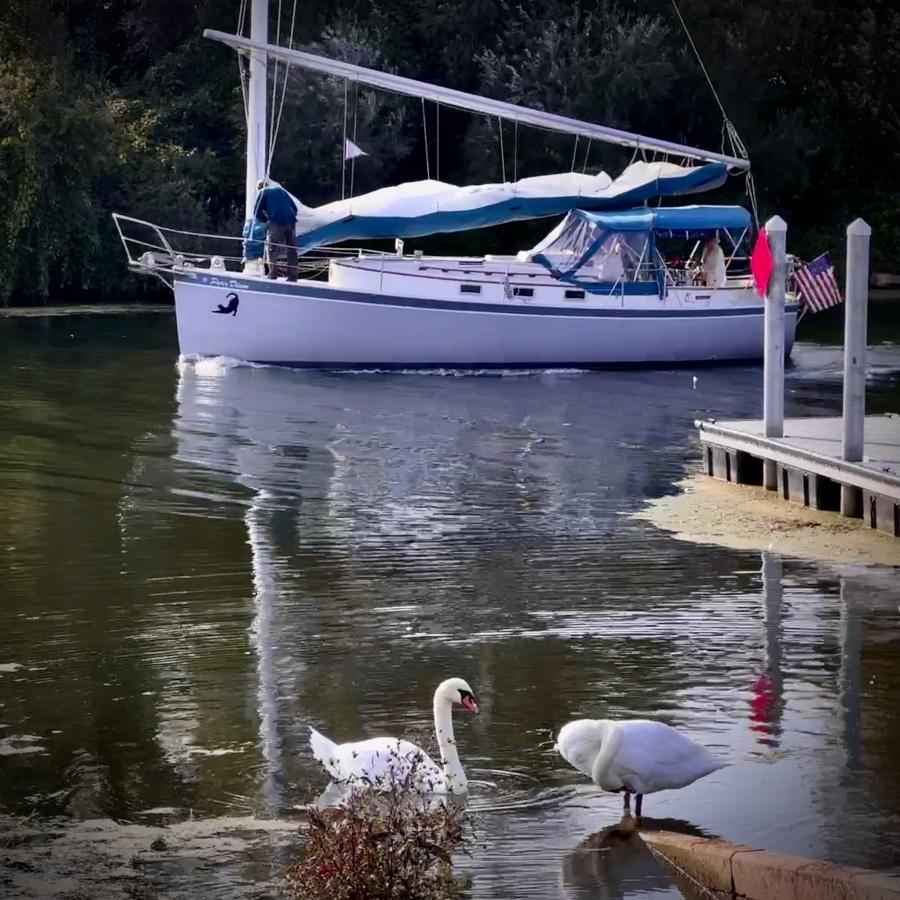 Click image for larger version

Name:	IMG_3695.jpeg
Views:	76
Size:	133.6 KB
ID:	30052