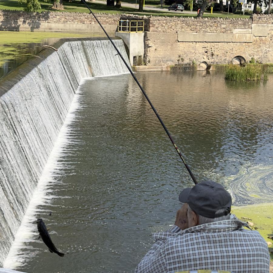 Click image for larger version

Name:	IMG_3665.jpeg
Views:	76
Size:	192.9 KB
ID:	30055