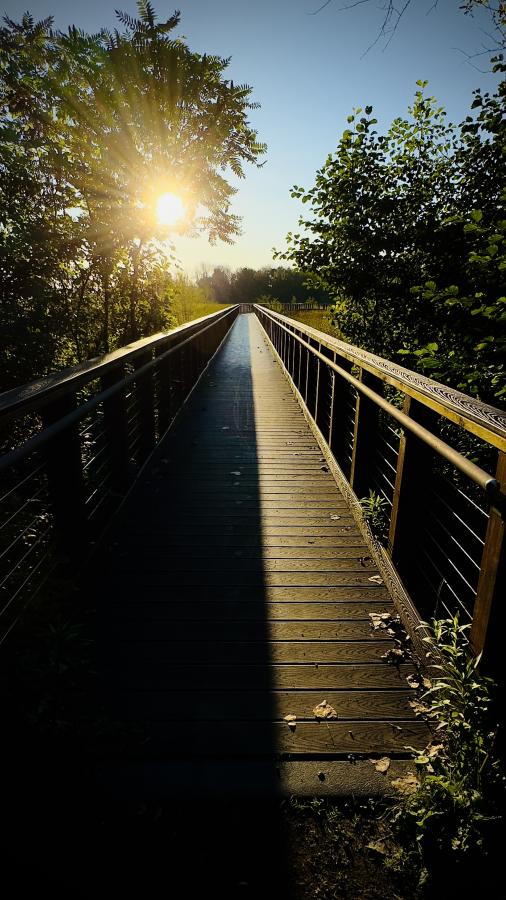 Click image for larger version

Name:	IMG_3557.jpeg
Views:	75
Size:	95.5 KB
ID:	30056