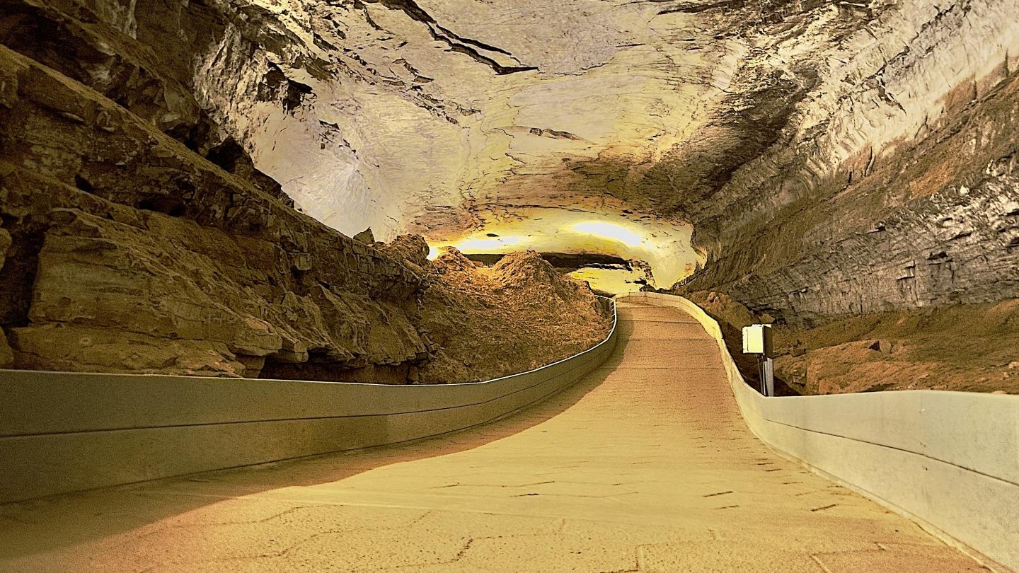 Click image for larger version

Name:	IMG_3885.jpeg
Views:	73
Size:	278.8 KB
ID:	30061