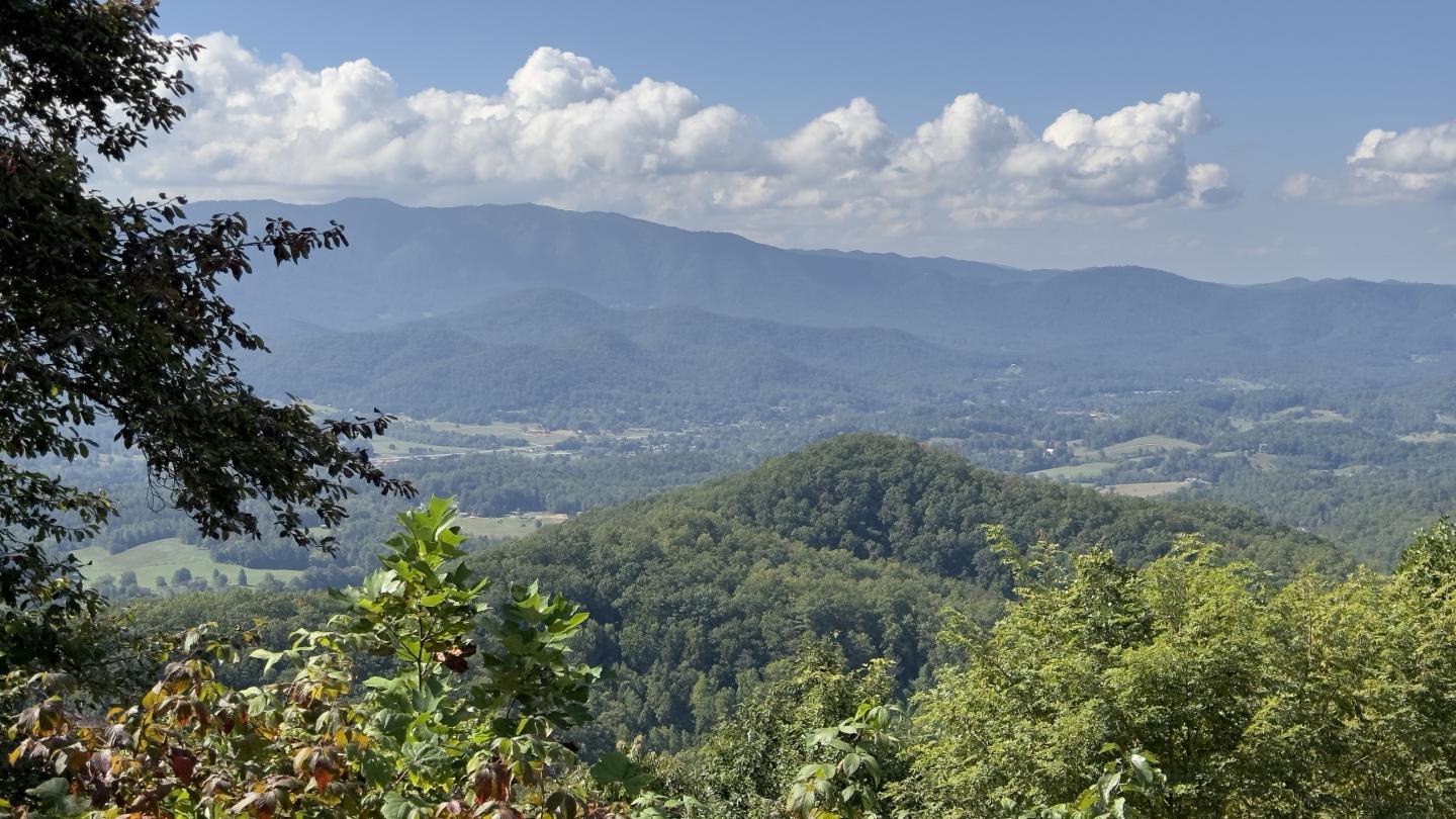 Click image for larger version

Name:	IMG_4094.jpeg
Views:	63
Size:	221.3 KB
ID:	30074