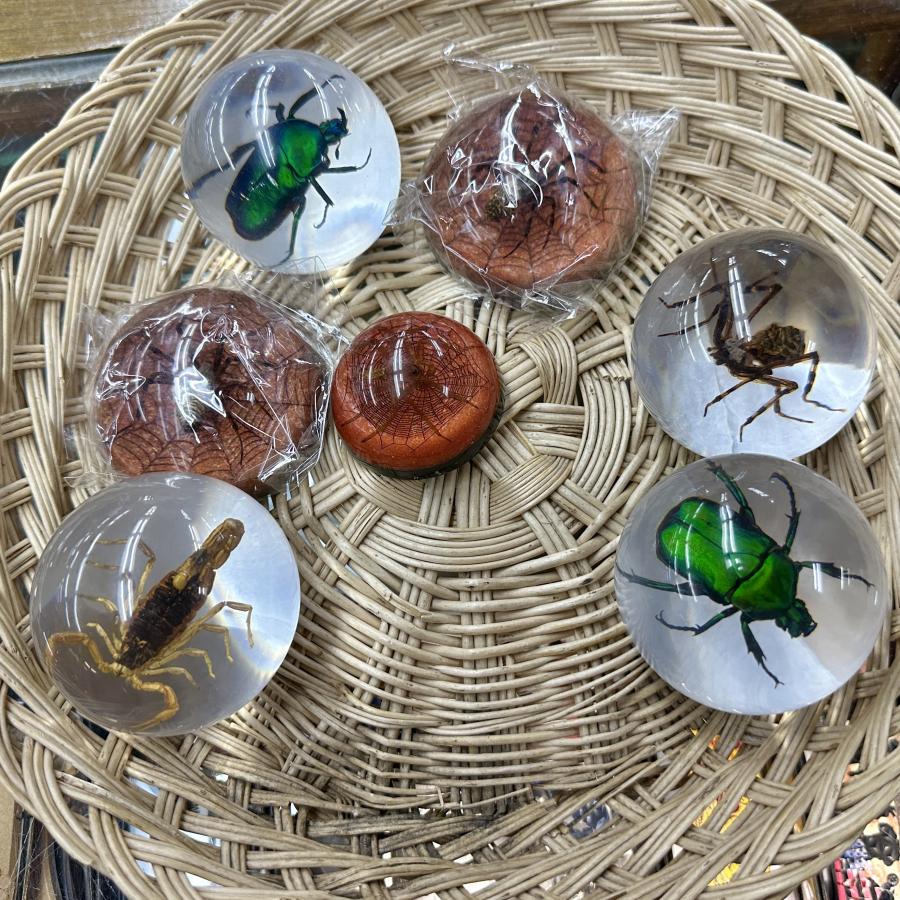 Click image for larger version

Name:	IMG_4922.jpeg
Views:	66
Size:	192.1 KB
ID:	30091