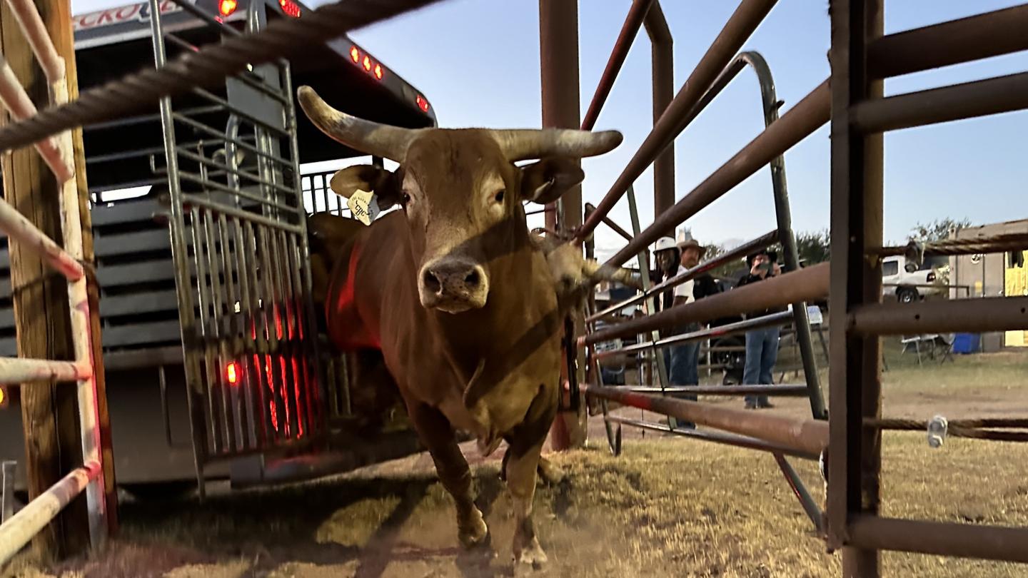 Click image for larger version

Name:	IMG_5065.jpeg
Views:	63
Size:	152.4 KB
ID:	30106