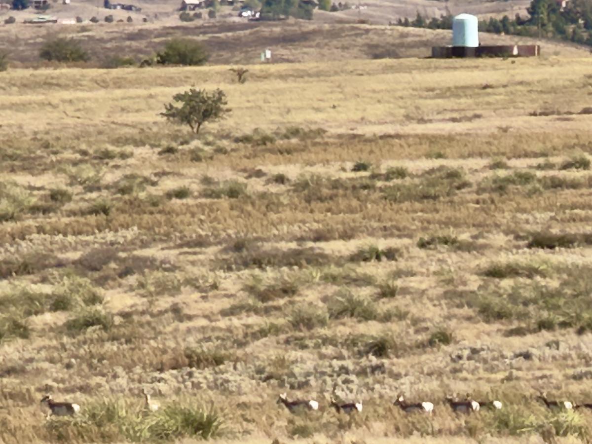 Click image for larger version

Name:	IMG_5430.jpeg
Views:	60
Size:	145.3 KB
ID:	30113