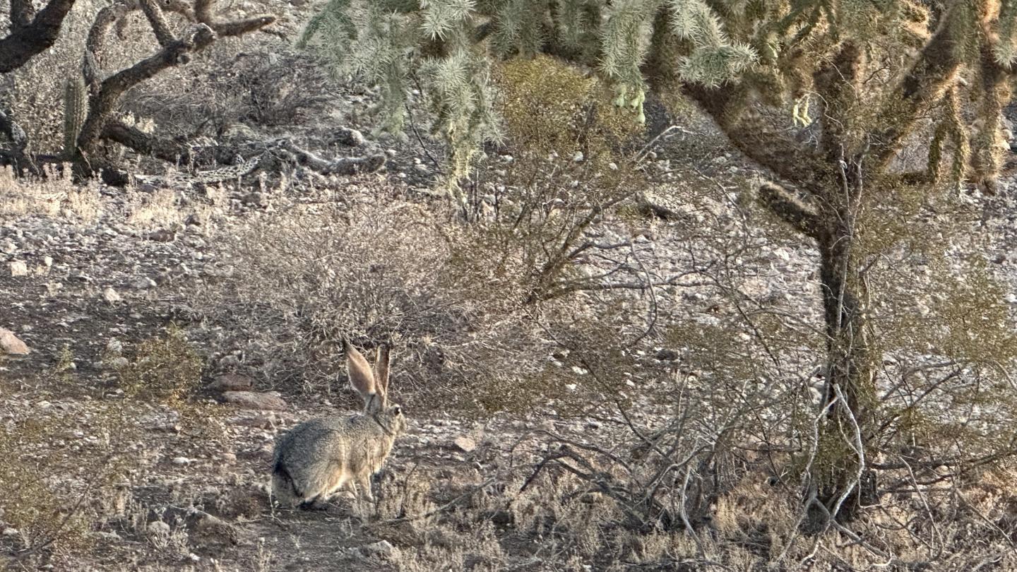 Click image for larger version

Name:	IMG_6018.jpeg
Views:	56
Size:	339.5 KB
ID:	30127