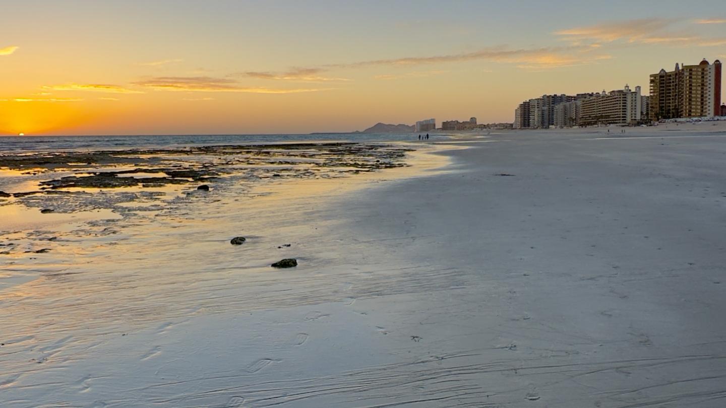 Click image for larger version

Name:	IMG_6087.jpeg
Views:	60
Size:	110.6 KB
ID:	30130