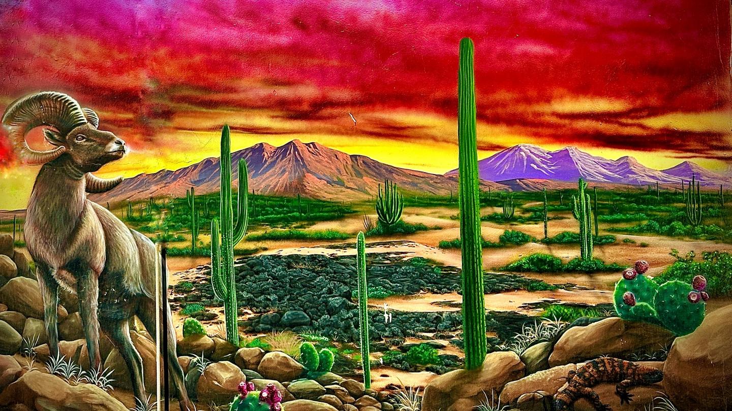 Click image for larger version

Name:	FullSizeRender.jpeg
Views:	70
Size:	315.1 KB
ID:	30138