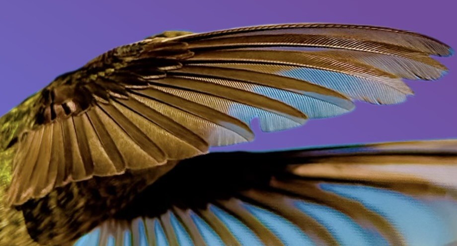 Click image for larger version

Name:	IMG_6771.jpeg
Views:	56
Size:	90.7 KB
ID:	30141