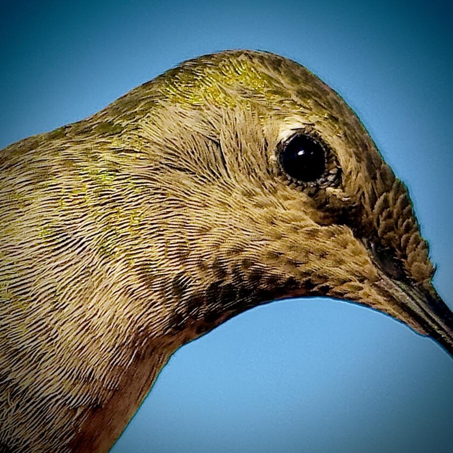 Click image for larger version

Name:	IMG_6569.jpeg
Views:	59
Size:	149.4 KB
ID:	30142