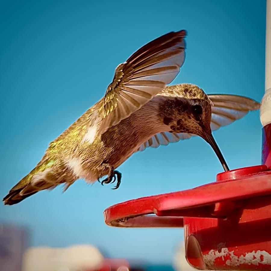 Click image for larger version

Name:	IMG_6279.jpeg
Views:	57
Size:	80.7 KB
ID:	30143