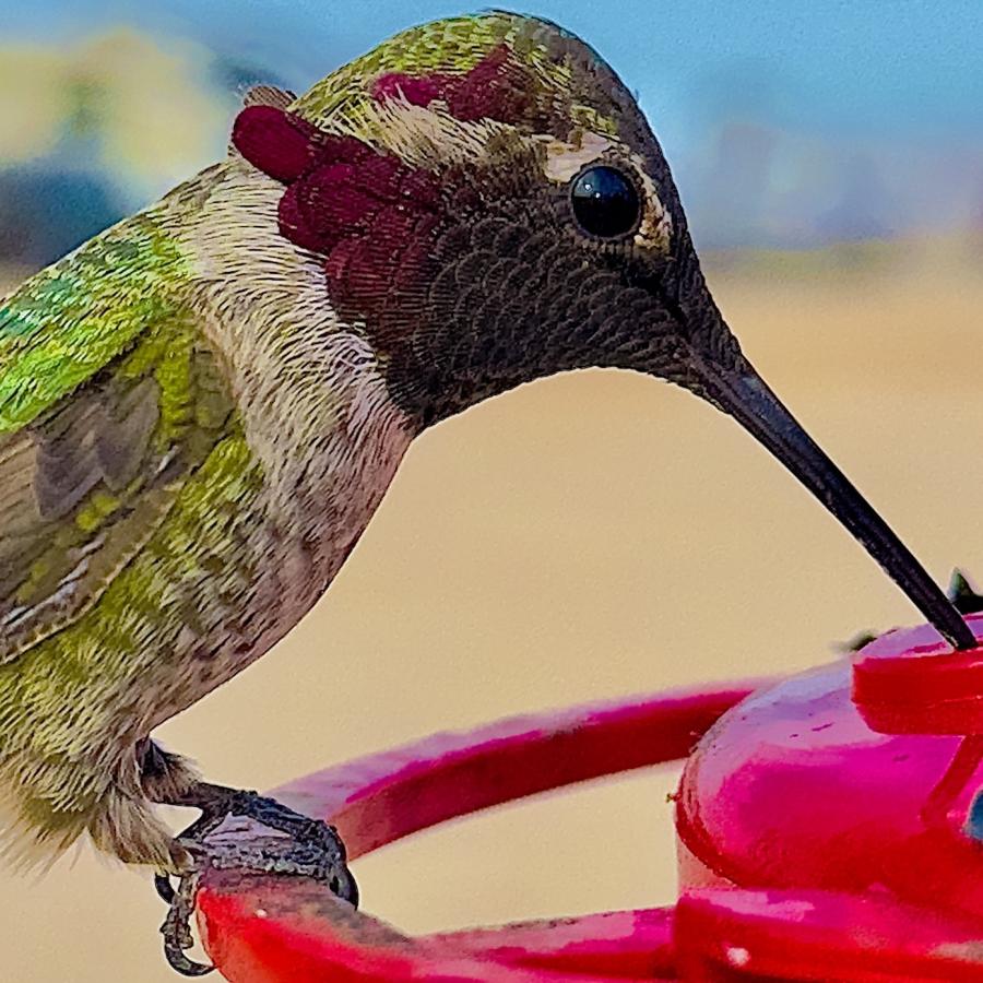 Click image for larger version

Name:	IMG_7194.jpeg
Views:	57
Size:	125.2 KB
ID:	30144