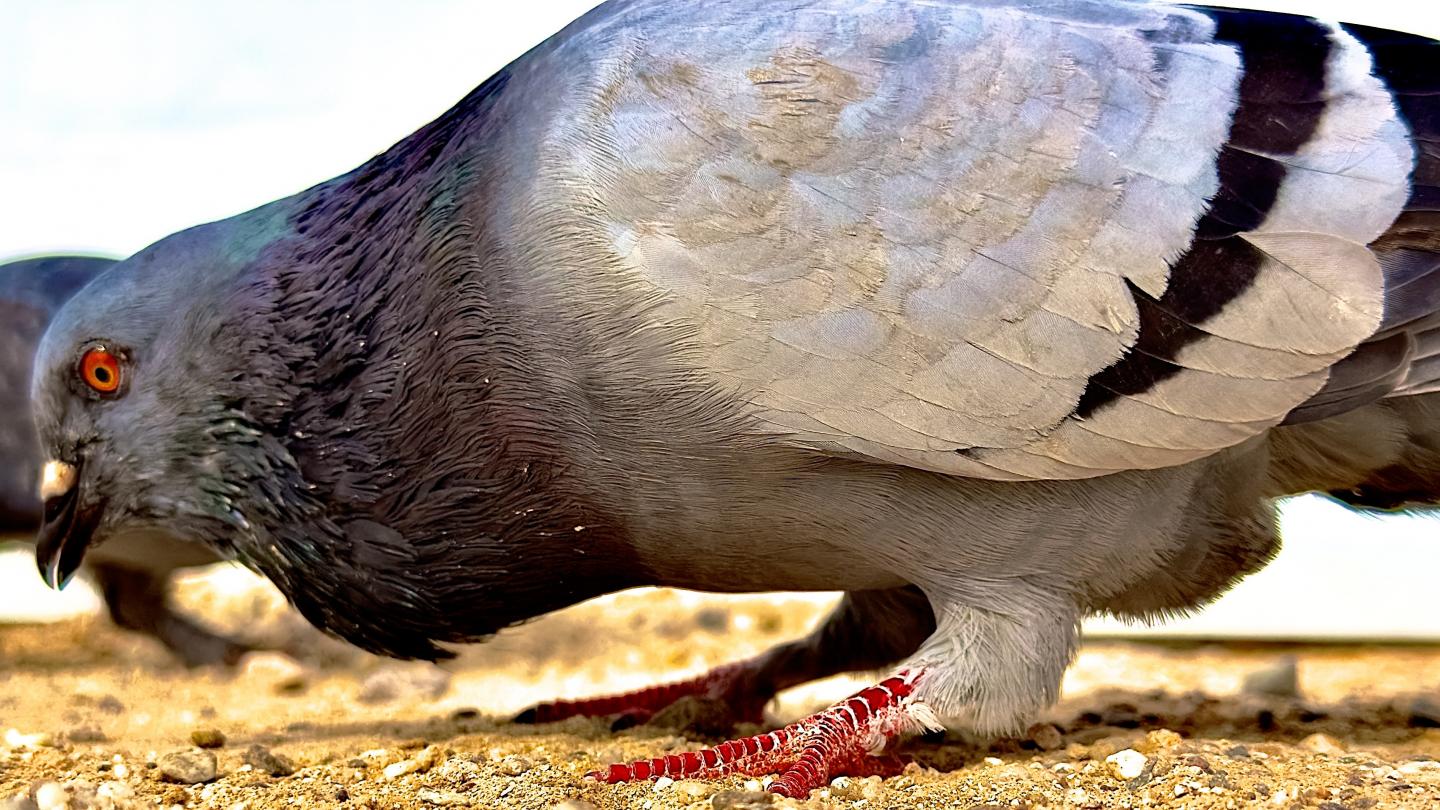 Click image for larger version

Name:	IMG_7217.jpeg
Views:	57
Size:	217.5 KB
ID:	30145