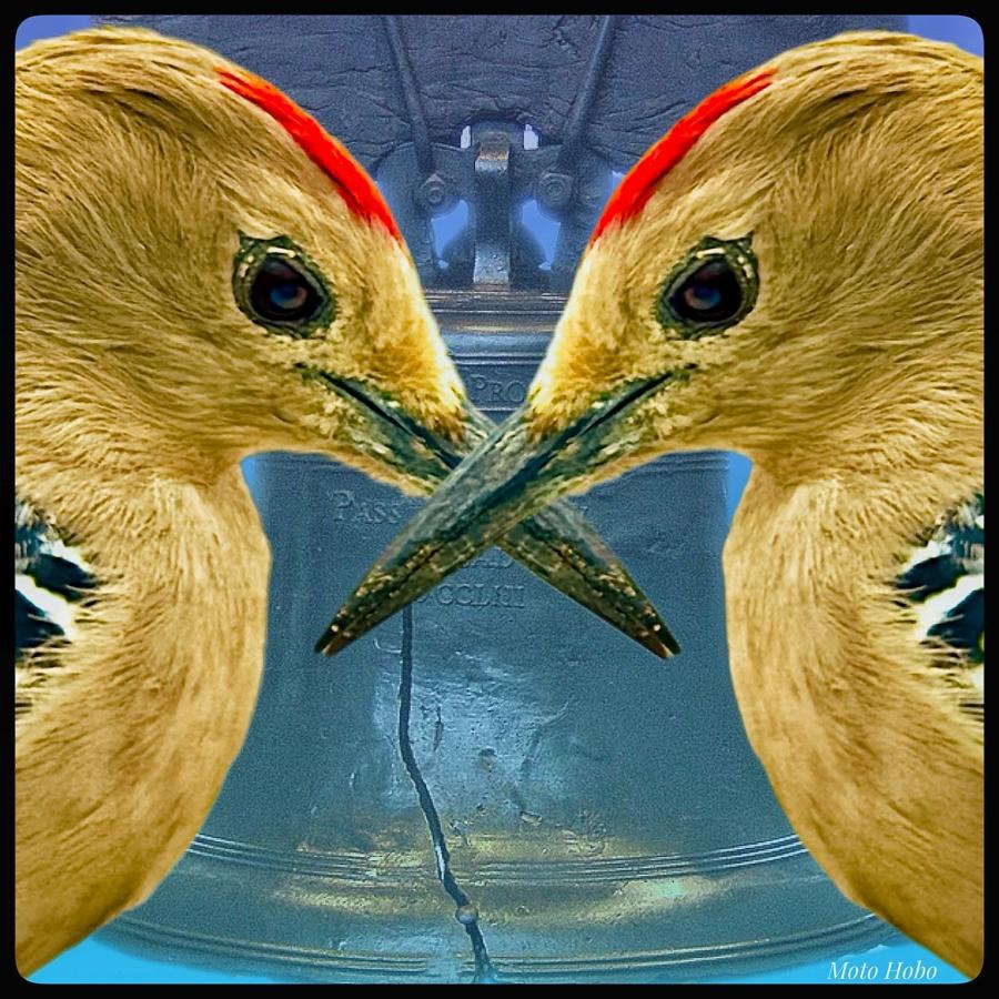 Click image for larger version

Name:	IMG_7342.jpeg
Views:	56
Size:	158.1 KB
ID:	30149