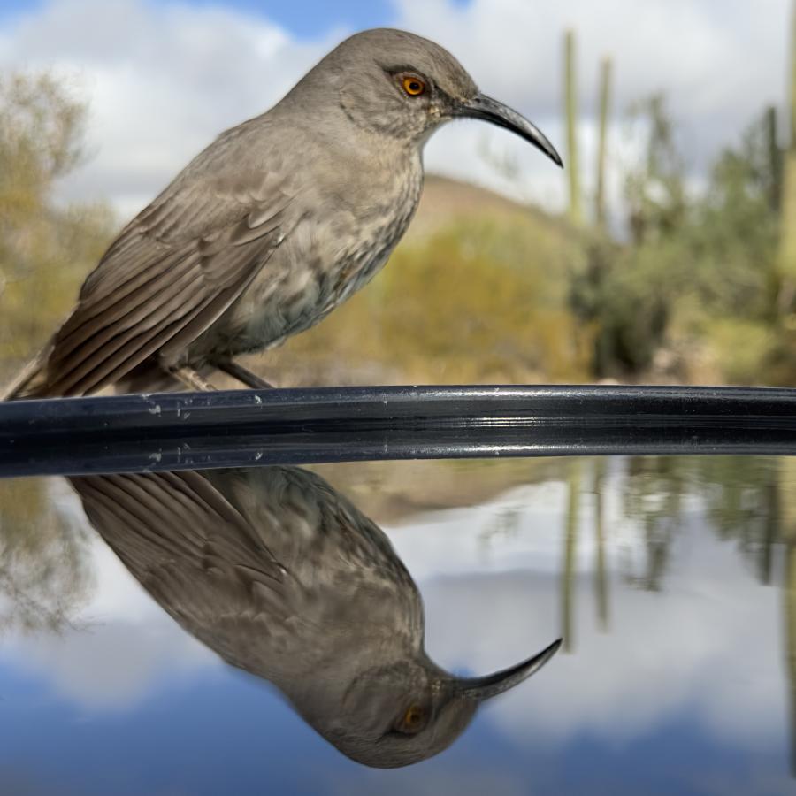 Click image for larger version

Name:	IMG_7566.jpeg
Views:	61
Size:	69.6 KB
ID:	30151