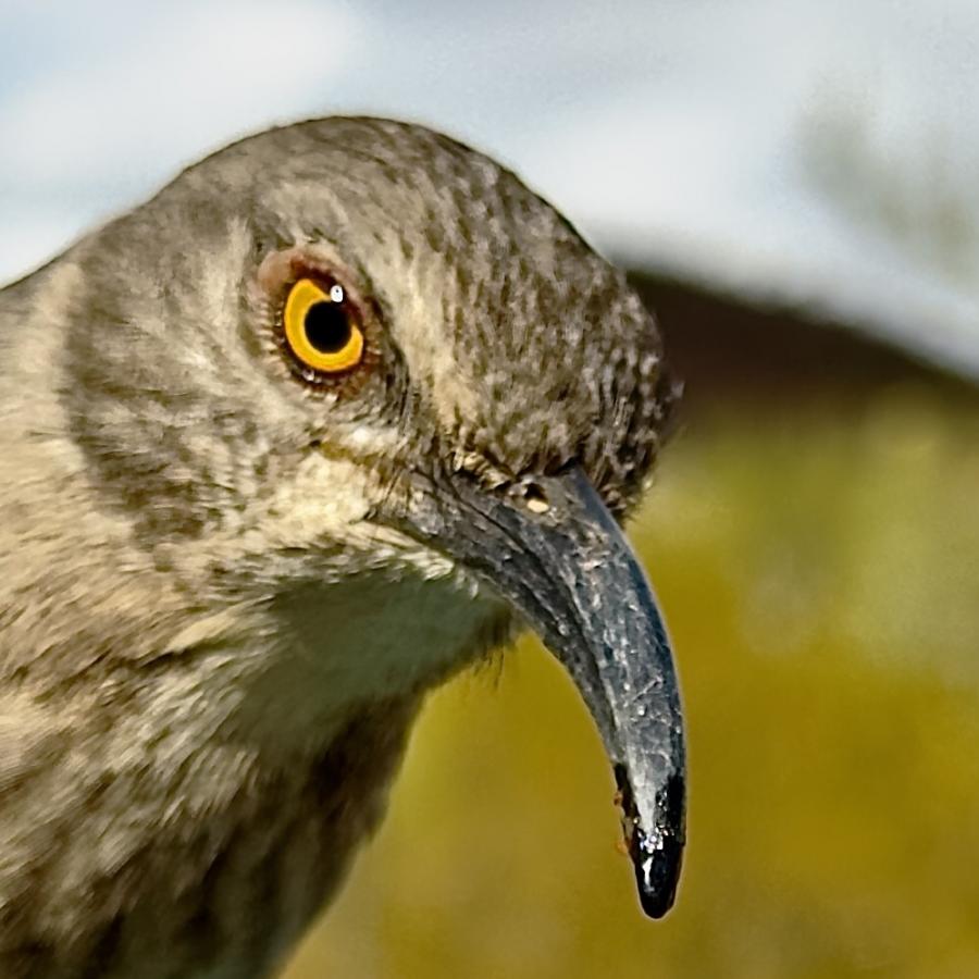 Click image for larger version

Name:	IMG_7661.jpeg
Views:	61
Size:	76.0 KB
ID:	30153