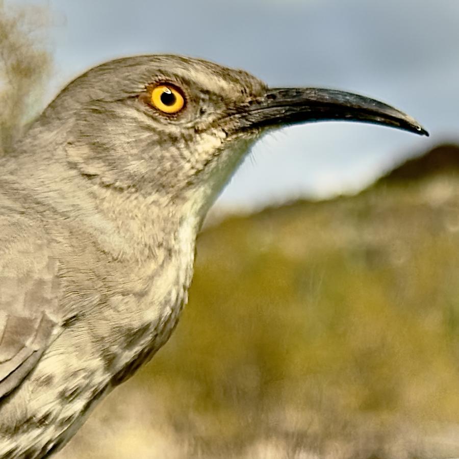 Click image for larger version

Name:	IMG_7579.jpeg
Views:	56
Size:	80.8 KB
ID:	30154