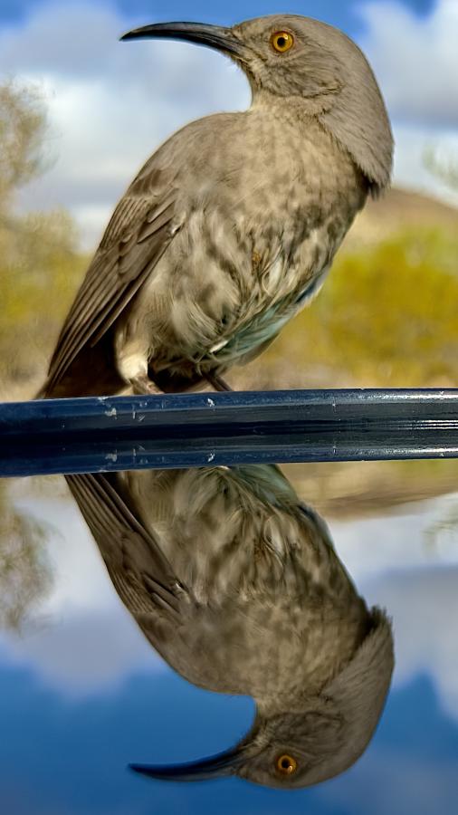 Click image for larger version

Name:	IMG_7569.jpeg
Views:	53
Size:	52.8 KB
ID:	30156