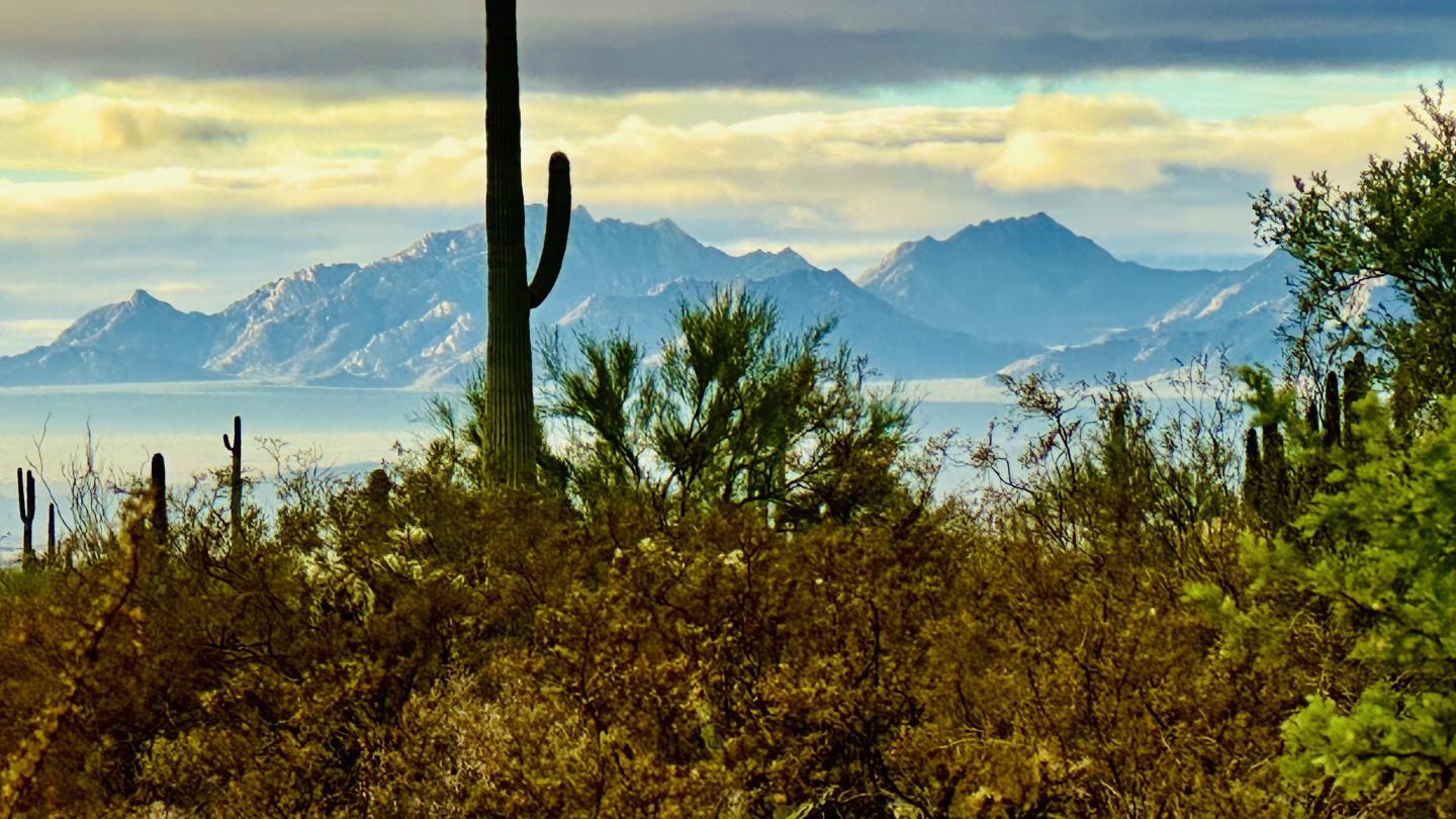 Click image for larger version

Name:	IMG_7555.jpeg
Views:	55
Size:	204.9 KB
ID:	30157