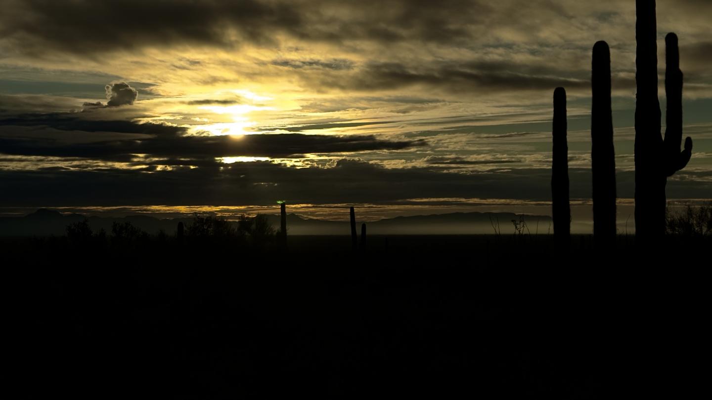 Click image for larger version

Name:	IMG_7538.jpeg
Views:	86
Size:	69.9 KB
ID:	30159