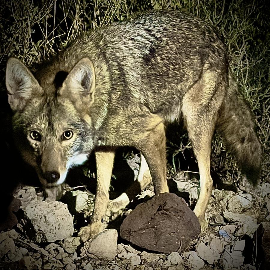 Click image for larger version

Name:	IMG_7365.jpeg
Views:	87
Size:	201.2 KB
ID:	30160