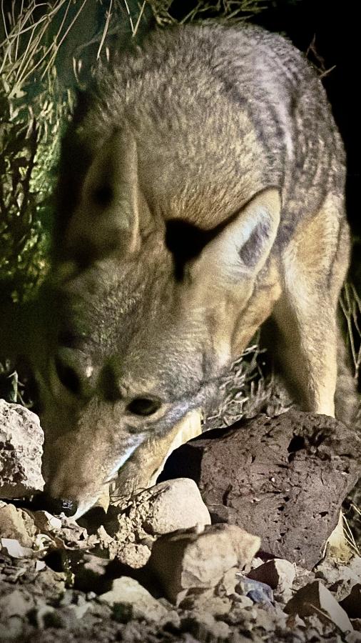 Click image for larger version

Name:	IMG_7399.jpeg
Views:	84
Size:	109.6 KB
ID:	30161