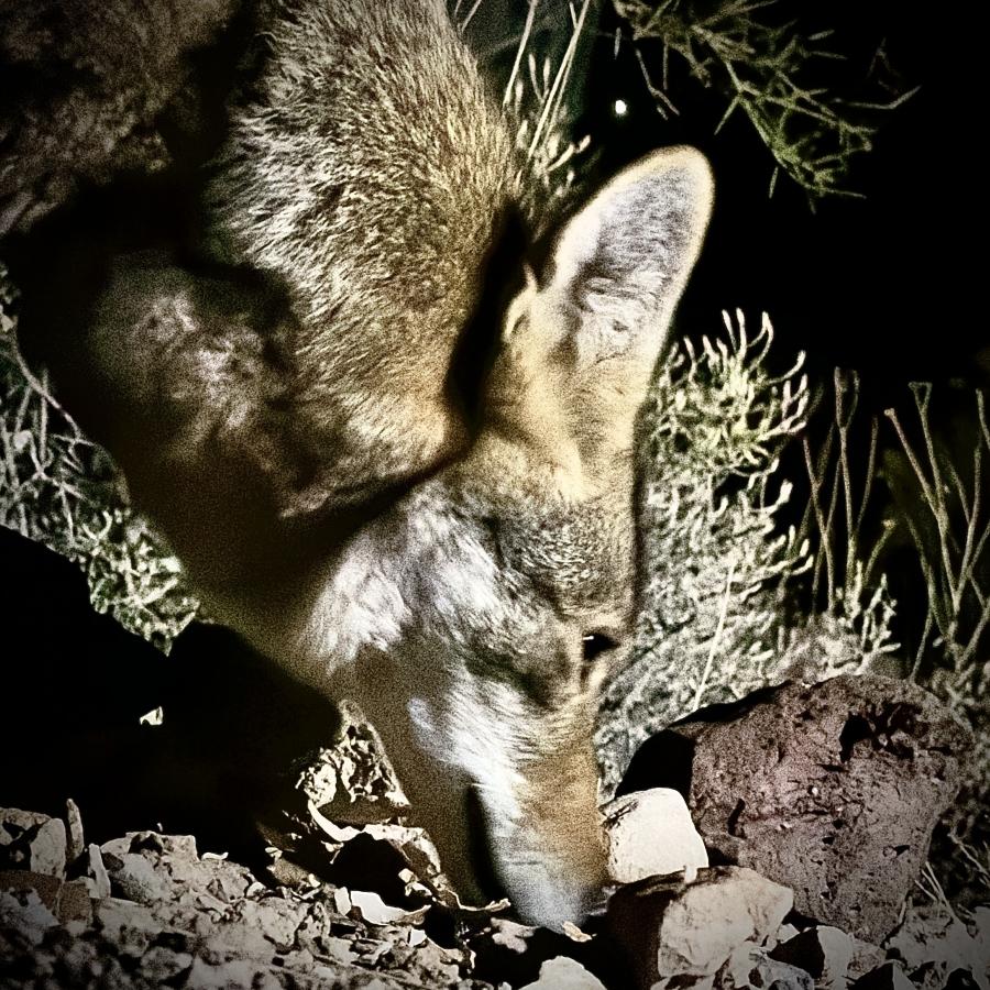 Click image for larger version

Name:	IMG_7393.jpeg
Views:	87
Size:	193.2 KB
ID:	30162