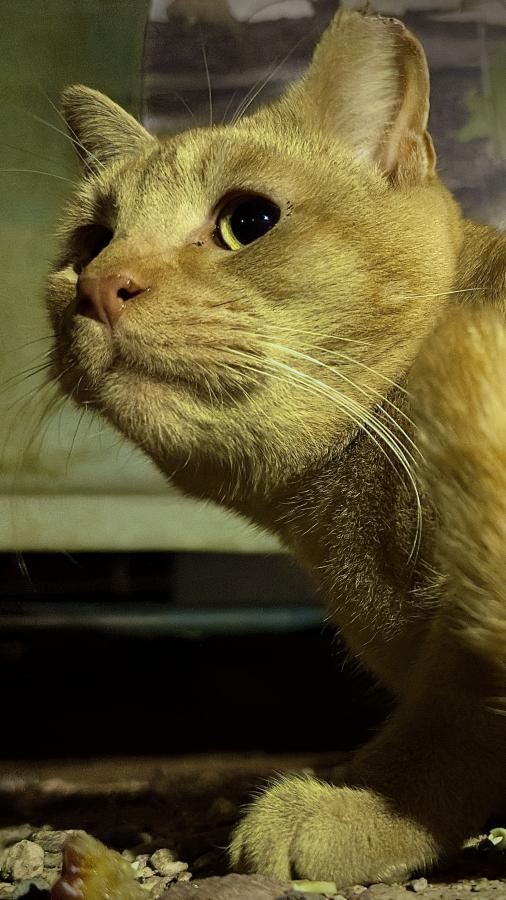 Click image for larger version

Name:	IMG_8129.jpeg
Views:	86
Size:	75.4 KB
ID:	30166