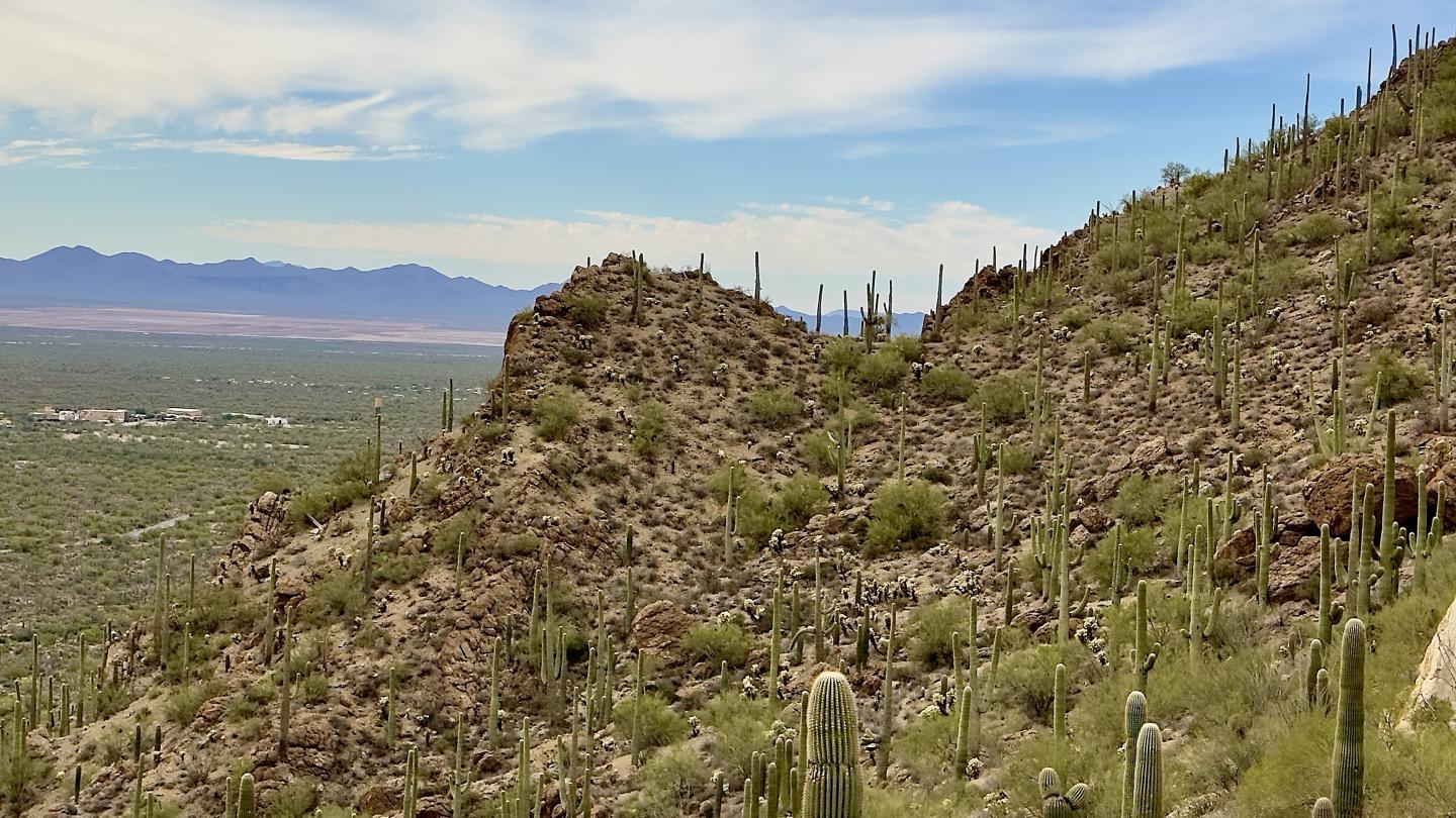 Click image for larger version

Name:	IMG_8146.jpeg
Views:	83
Size:	262.3 KB
ID:	30173